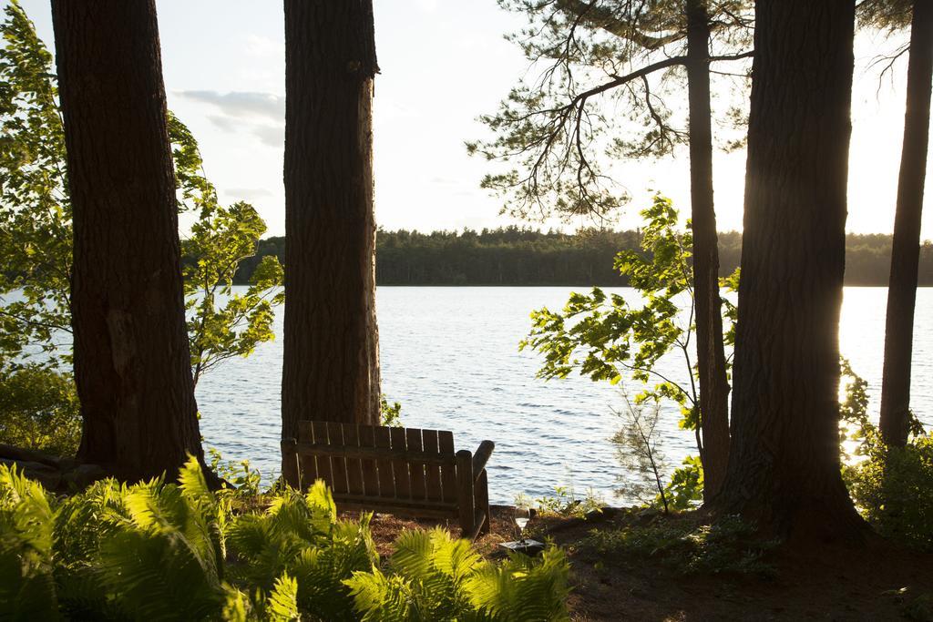 Wolf Cove Inn Poland Exteriér fotografie